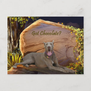 Carte Postale Vous Avez Du Danse Au Chocolat ?