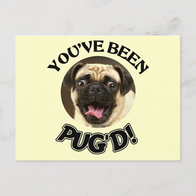 CARTE POSTALE VOUS AVEZ ÉTÉ PUG'D ! - CHIEN DRÔLE DE CARLIN (Devant)