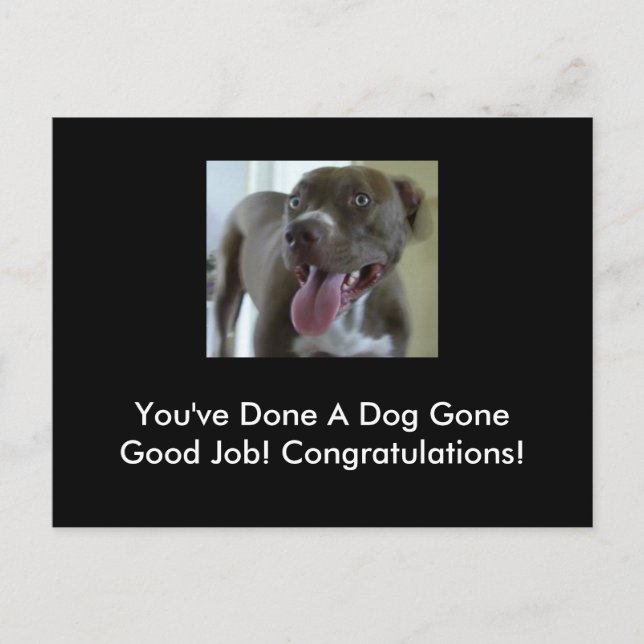 Carte Postale Vous avez fait un bon travail à un chien ! (Devant)