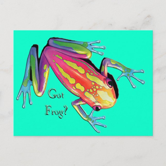 Carte Postale Vous avez Grenouille ? (Devant)