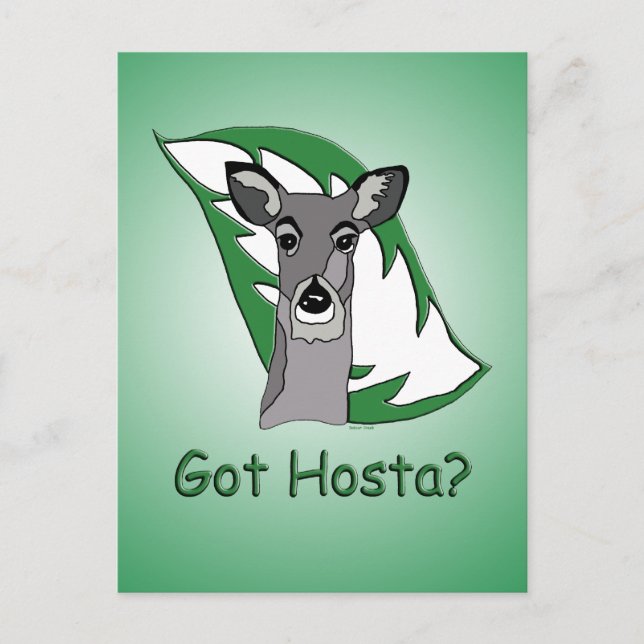 Carte Postale Vous avez Hosta ? (Devant)