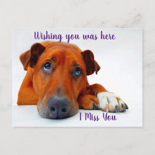 Carte Postale Vous avez manqué