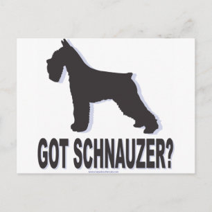 Carte Postale Vous avez Schnauzer ?