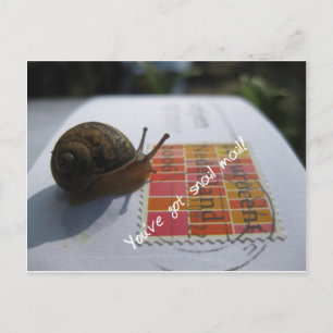 Carte Postale vous avez un courrier d'escargot
