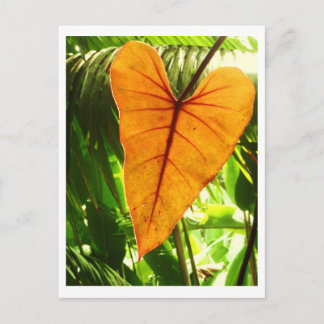 Carte Postale "Vous êtes aimés "