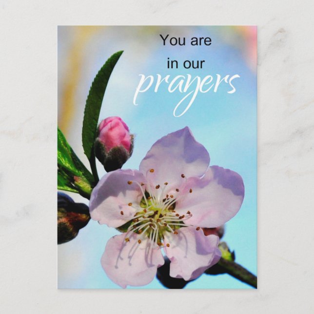 Carte Postale Vous êtes dans la Congrégation de l'Église de nos  (Devant)