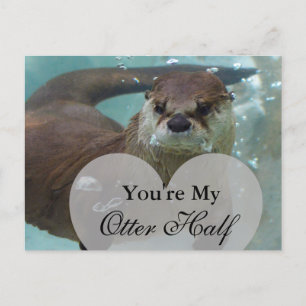 Carte Postale Vous êtes ma Otter Half Brown River Otter Natation