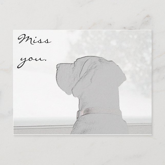 Carte Postale Vous manquez. (Devant)