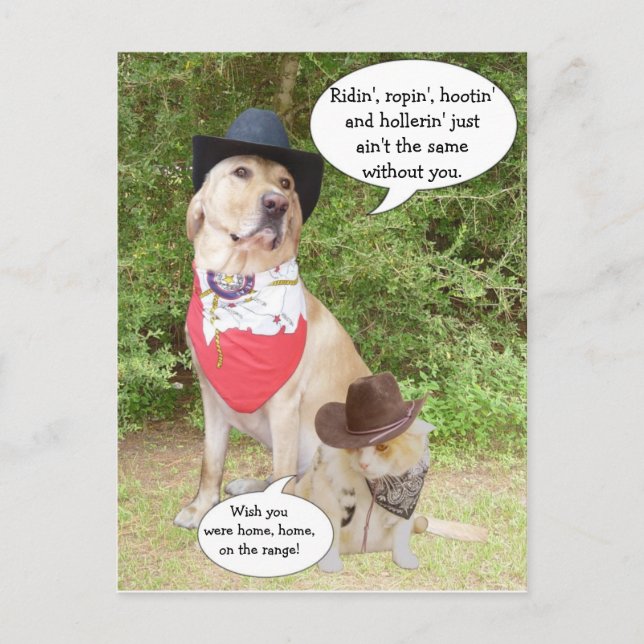 Carte Postale Vous manquez... (Devant)