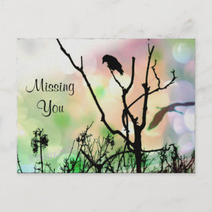 Carte Postale Vous Manquez, Le Crow Solitaire