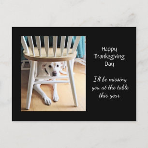 Carte Postale Vous manquez mignon chien blanc Thanksgiving noir