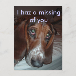 Carte postale : Vous me manquez.