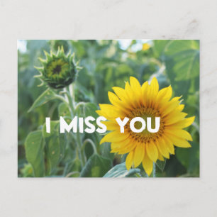 Carte Postale Vous Me Manquez Photo Yellow Sunflower Bud Texte P