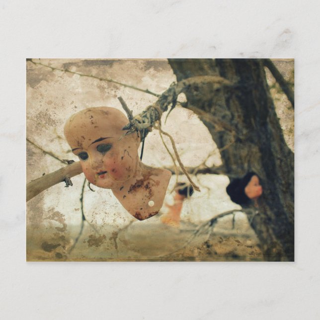 Carte Postale Vous n'êtes jamais trop vieux pour jouer avec des  (Devant)