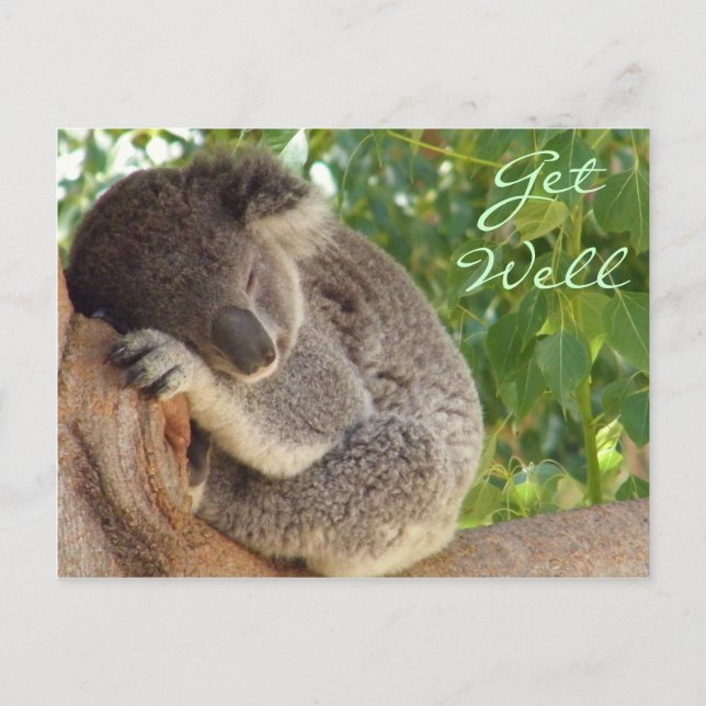 Carte Postale Vous rêvez_ (Devant)