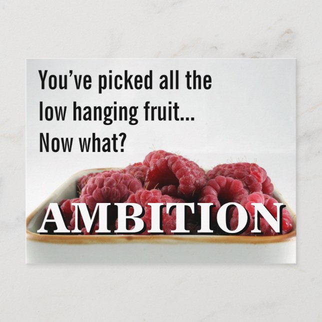 Carte Postale Vous semblez n'avoir aucune ambition dans la vie (Devant)