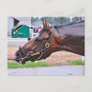 Carte Postale Vow cassé - Colt de l'ange de Copeland