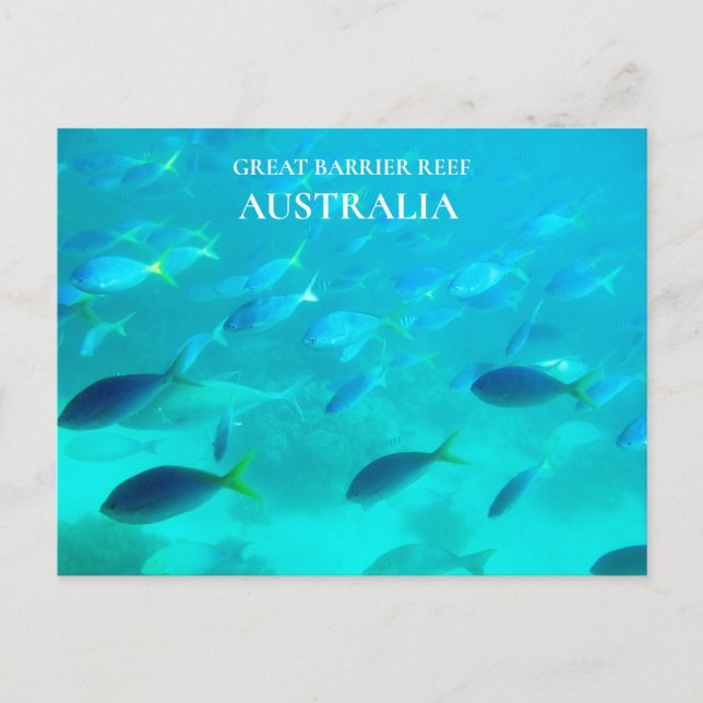 Carte Postale Voyage australien de la Grande barrière de corail (Devant)