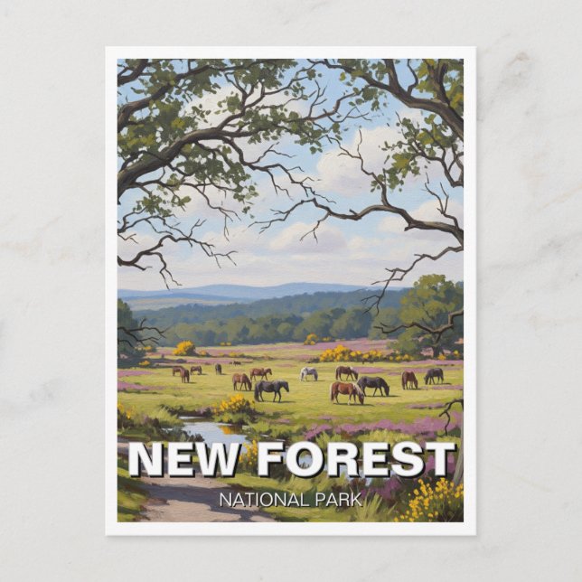 Carte Postale Voyage dans le parc national de New Forest (Devant)