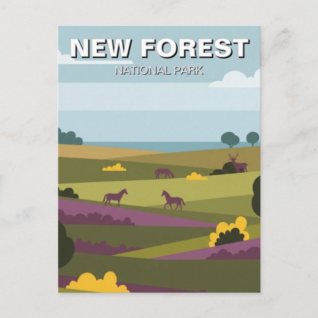 Carte Postale Voyage dans le parc national de New Forest (Devant)