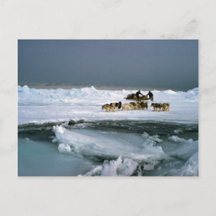 Carte Postale Voyage de chien sur la glace, île d'Ellesmere, Ter