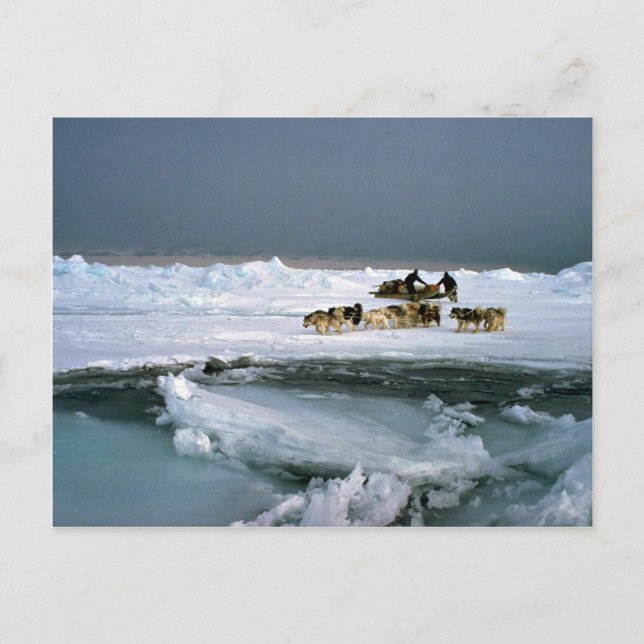 Carte Postale Voyage de chien sur la glace, île d'Ellesmere, Ter (Devant)