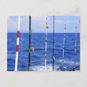 Carte Postale Voyage de pêche
