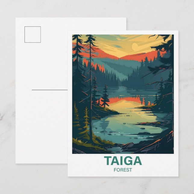 Carte Postale Voyage d'illustration de la forêt de Taiga (Devant / Derrière)
