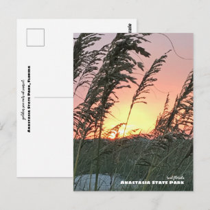 Carte Postale Voyage   Floride - Anastasia Sea Oat Sunset