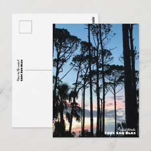 Carte Postale Voyage   Floride - Cape San Blas Pins Coucher de s