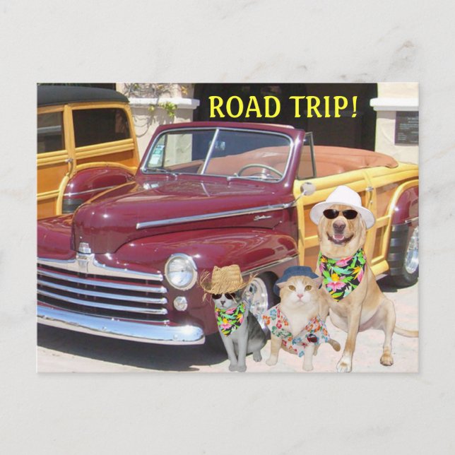 CARTE POSTALE VOYAGE ROUTIER ! (Devant)