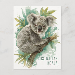Carte Postale Voyage vintage Australie Koala
