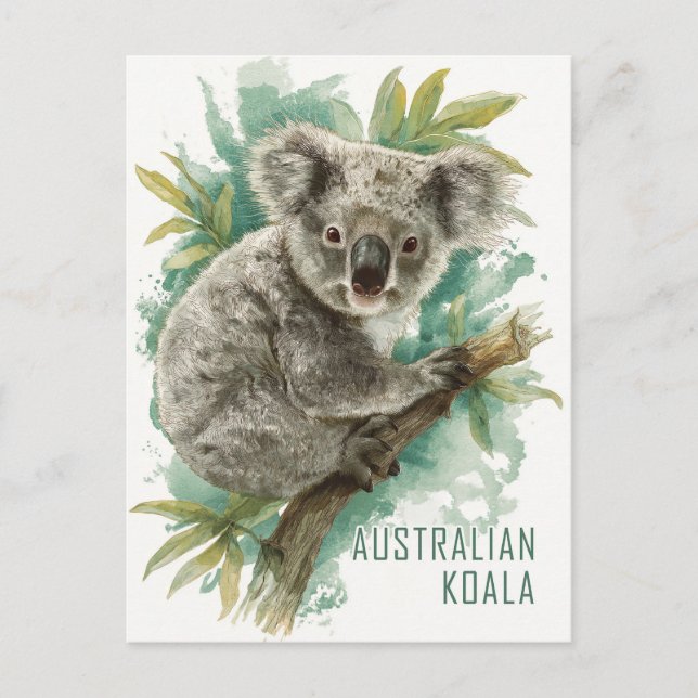 Carte Postale Voyage vintage Australie Koala (Devant)