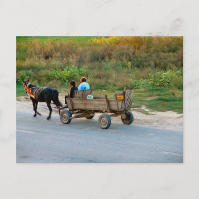 Carte Postale Voyager en cheval et en charrue, Roumanie (Devant)