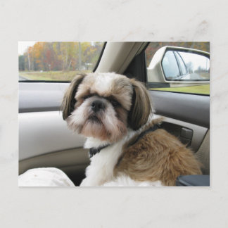 Carte Postale Voyageur ambulant