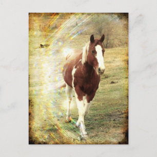 Carte Postale Voyant