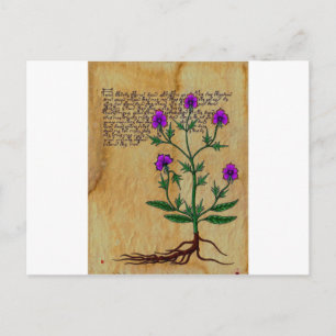 Carte Postale Voynich Herboristeria Vintage RetroCharms