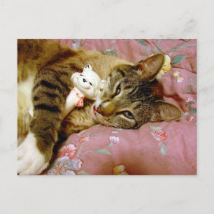 Carte Postale Vrai chat, Fake chat