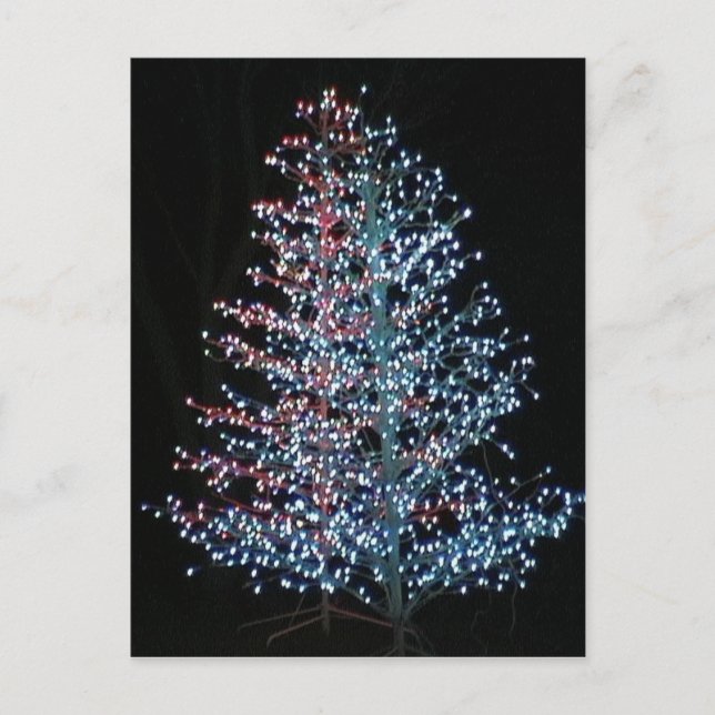 Carte Postale Vraiment brillant ! (Devant)