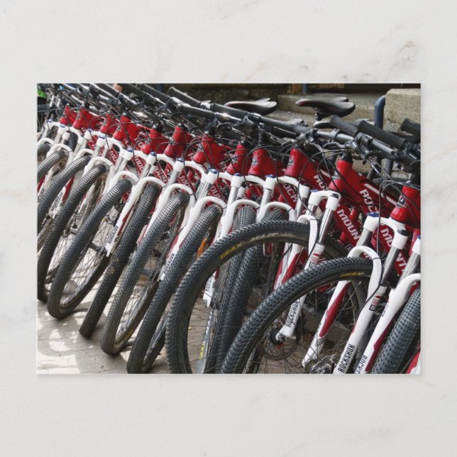Carte Postale VTT en rang (Devant)