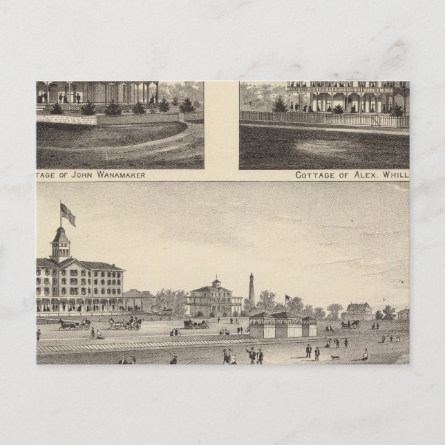 Carte Postale Vue à Sea Grove, Cape May Point (Devant)