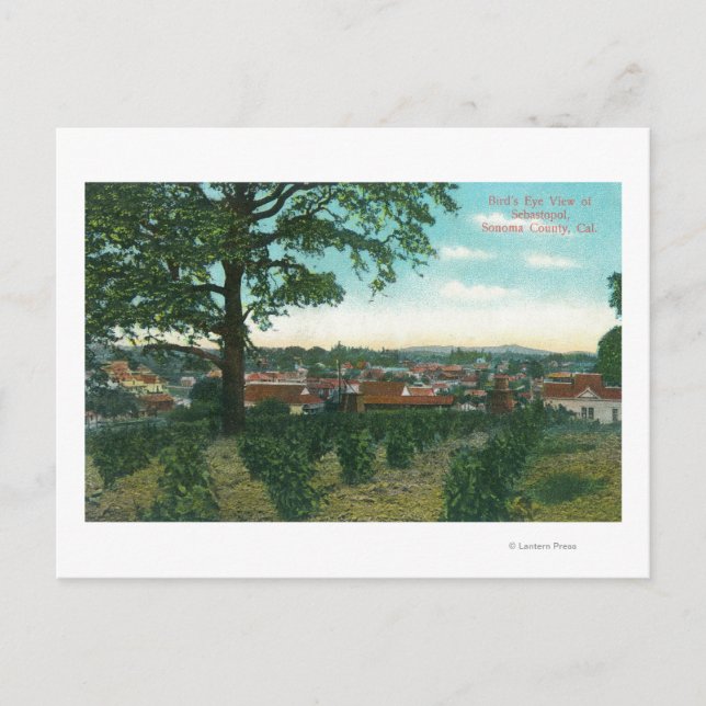 Carte Postale Vue aérienne de la villeSebastopol, CA (Devant)