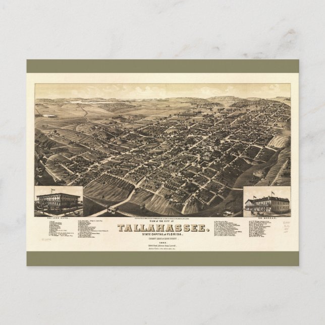 Carte Postale Vue aérienne de Tallahassee, la Floride (1885) (Devant)