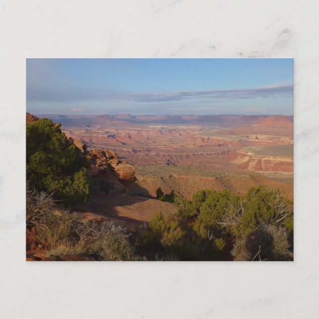Carte Postale Vue de Canyonlands depuis le sentier Grand View Po (Devant)