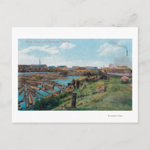 Carte Postale Vue de Chena Slough depuis la ville