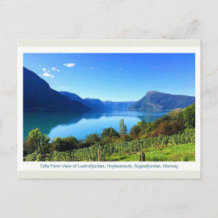 Carte Postale Vue de la ferme Talle sur le Lustrafjorden 