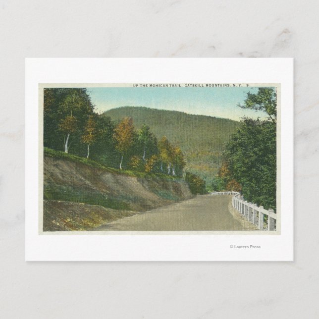 Carte Postale Vue de la piste Mohican (Devant)