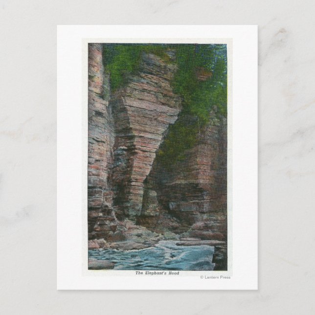 Carte Postale Vue de la tête de l'éléphant (Devant)