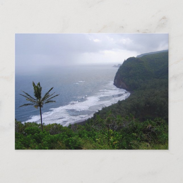 Carte Postale Vue de la vallée de Pololu avec Palm Tree, Hawaii, (Devant)