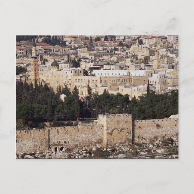 Carte Postale Vue de la Vieille Ville du Mont des Oliviers, Jéru (Devant)